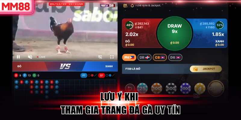 Top 6 Trang Đá Gà Uy Tín 2026 – MM88 Liệt Kê Trang An Toàn 9 Lưu ý khi tham gia trang đá gà uy tín