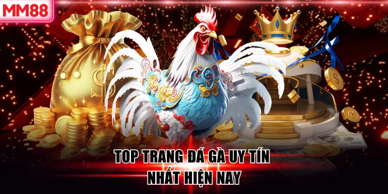 Top 6 Trang Đá Gà Uy Tín 2026 – MM88 Liệt Kê Trang An Toàn 7 Top trang đá gà uy tín nhất hiện nay